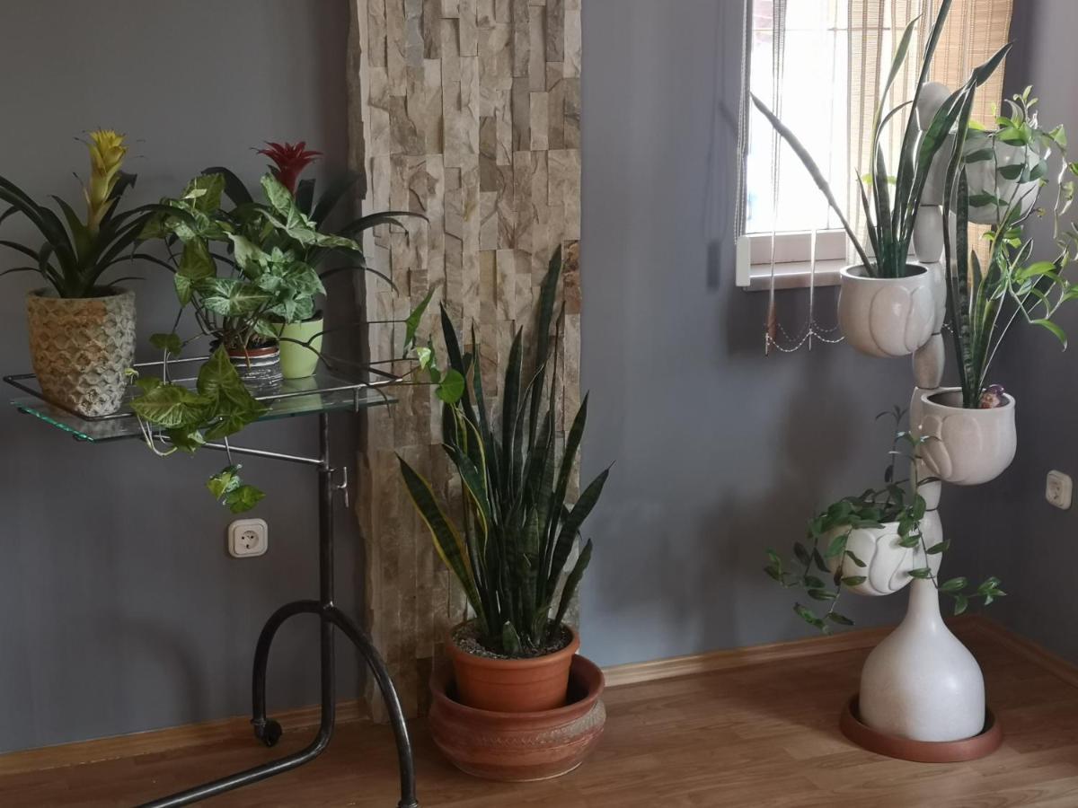 Hotello Apartmanhaz Es Panzio Zalaegerszeg Bagian luar foto